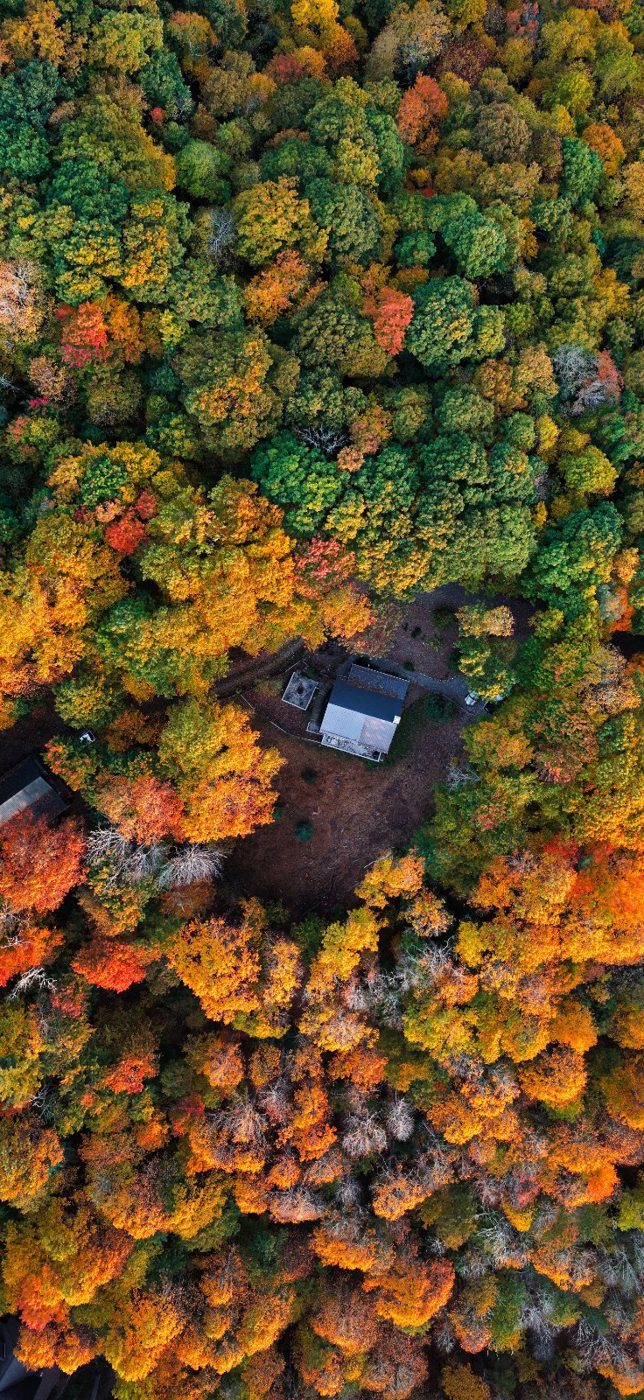 Green above, orange below.